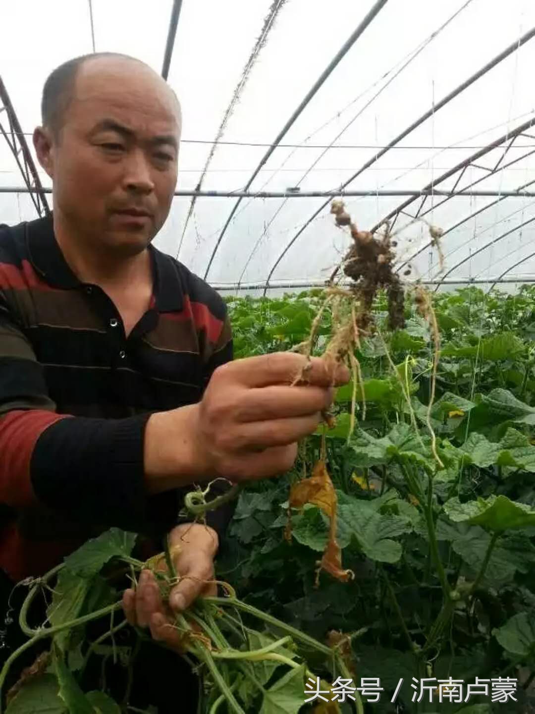 陈锋名师工作室,陈锋老师视频