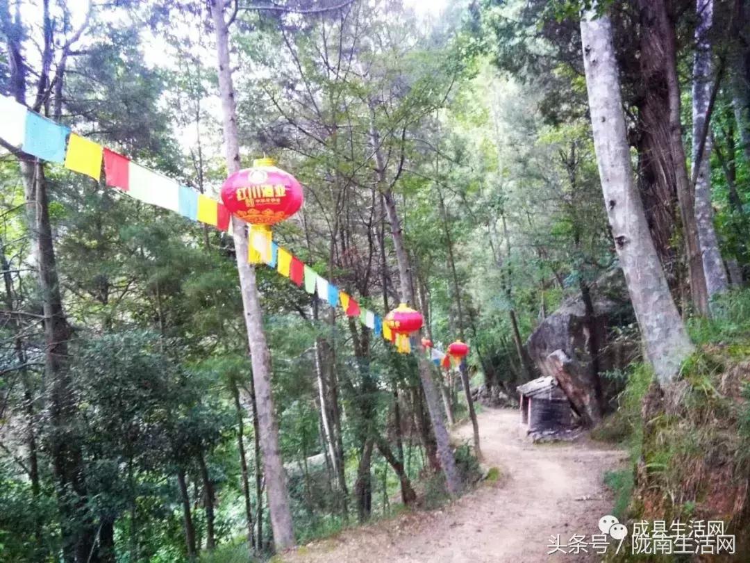 陇南市成县小川镇庙会,今年甘肃陇南成县泰山庙庙会