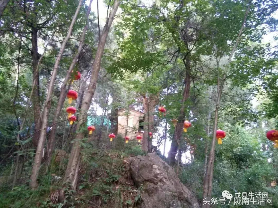 陇南市成县小川镇庙会,今年甘肃陇南成县泰山庙庙会