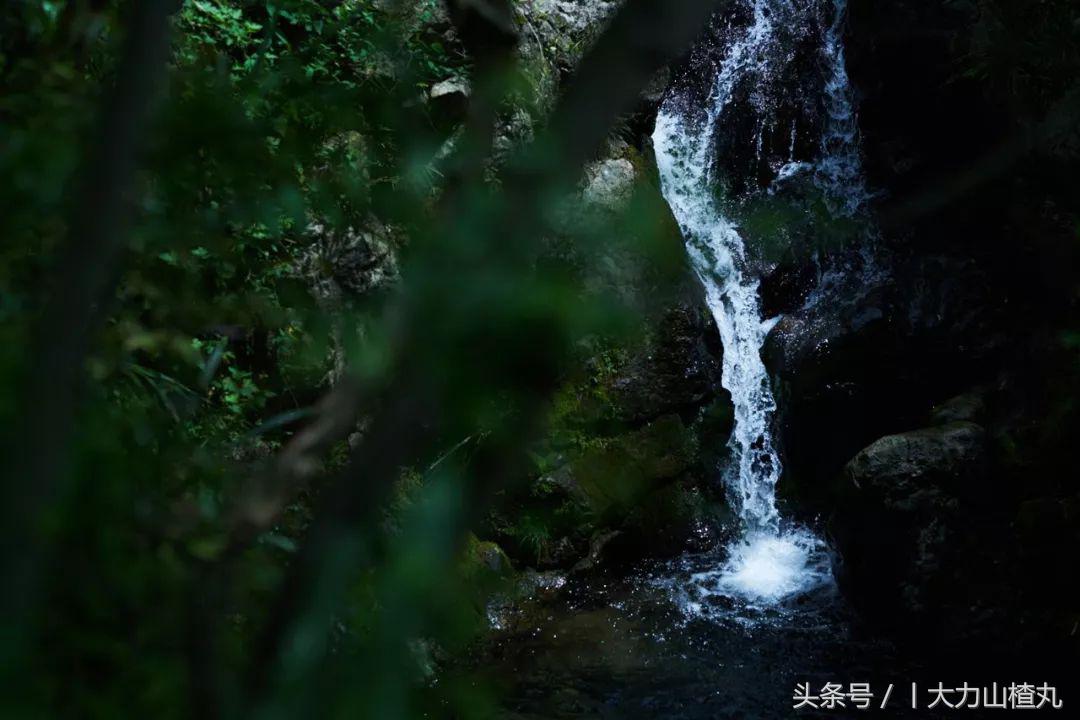 桐庐这些如诗画般高颜值精品民宿,桐庐有哪些隐藏的民宿