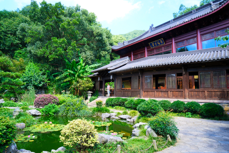 杭州西湖竹涧庭民宿踏春之旅,杭州民宿客栈里的美景攻略