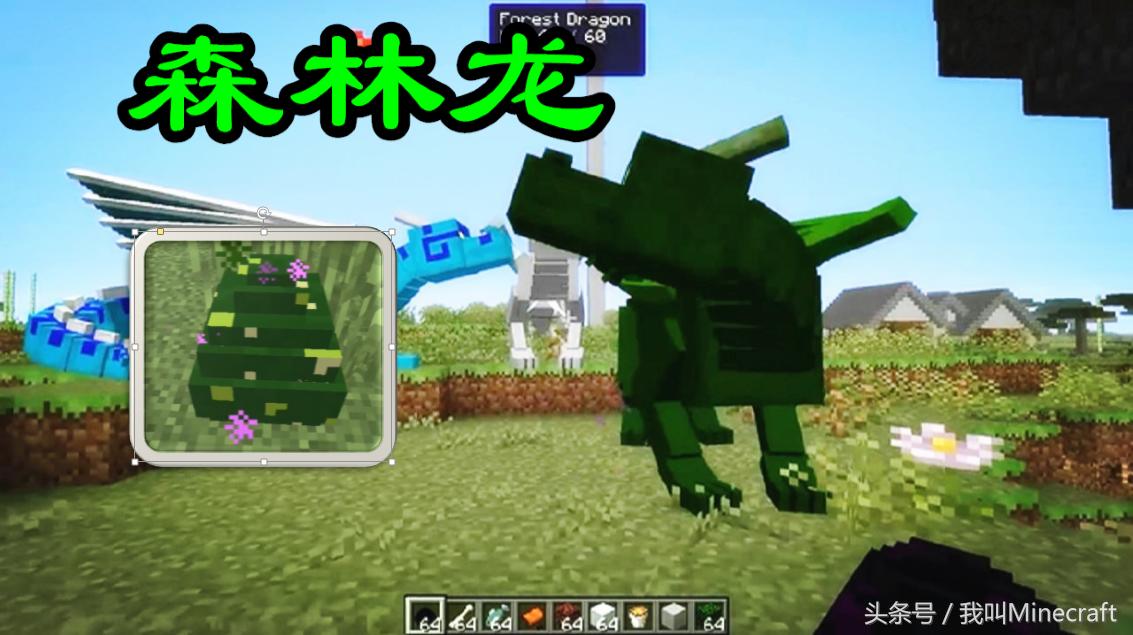 我的世界经典模式龙蛋可以孵化吗,我的世界普通龙蛋该怎么孵化