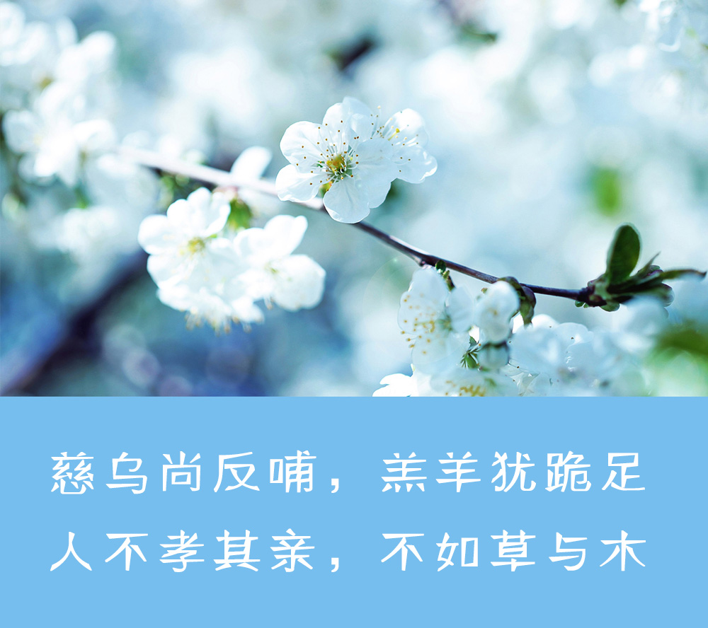 聪明人不交朋友的三个表现,聪明人不与这三种人深交