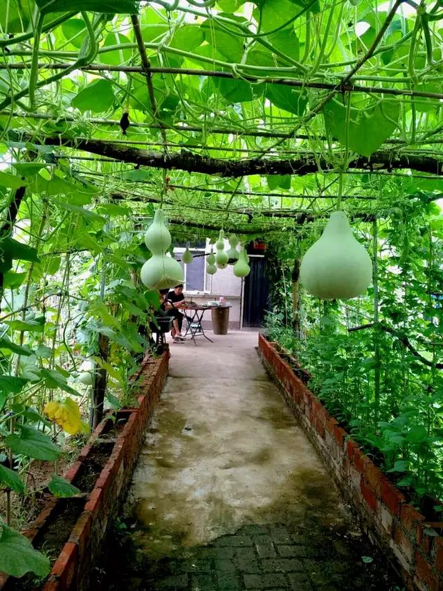 有关溽暑的诗词,原创诗词溽暑天净沙