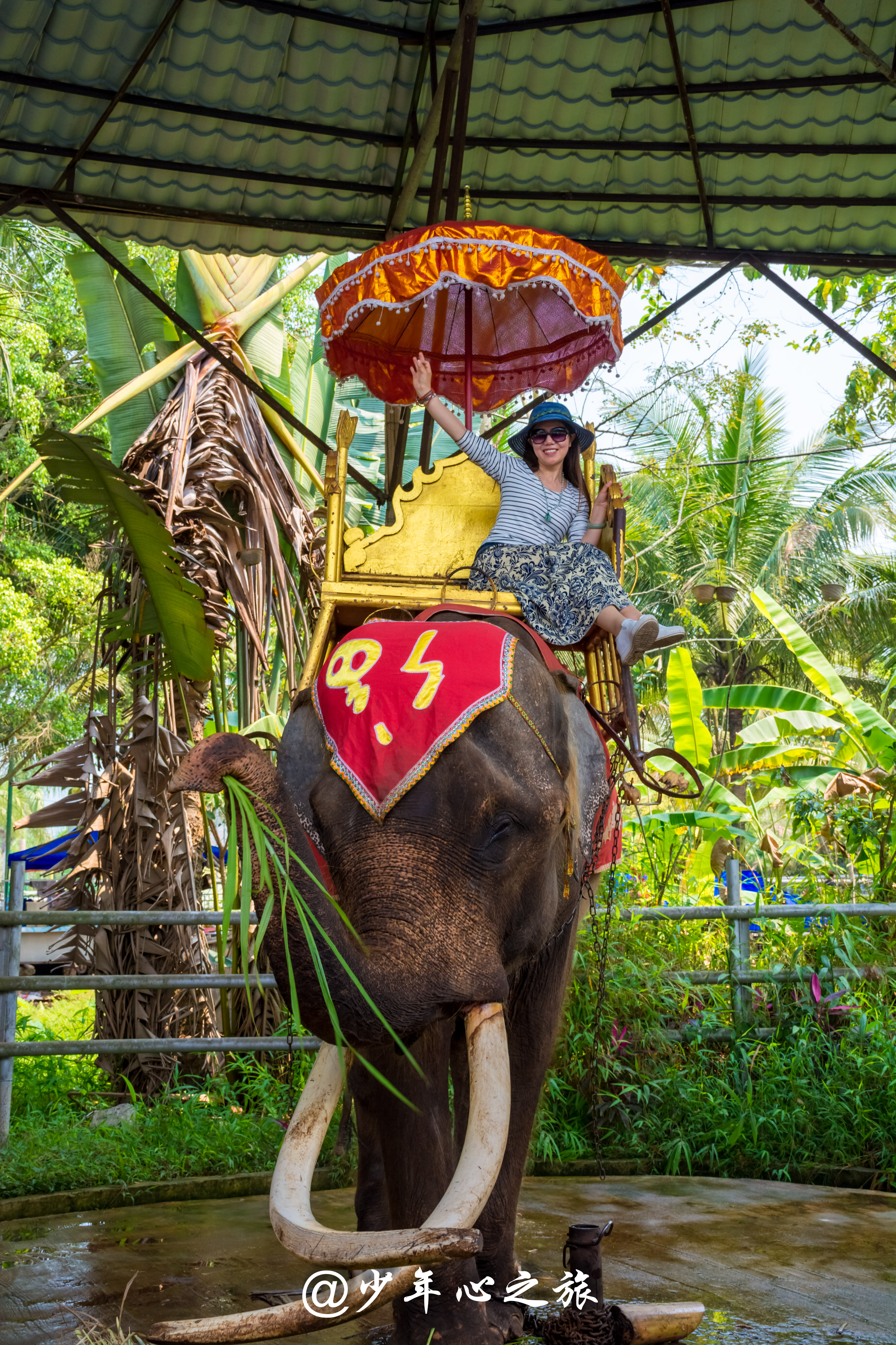 西双版纳必打卡三大景点,西双版纳必须打卡的景点