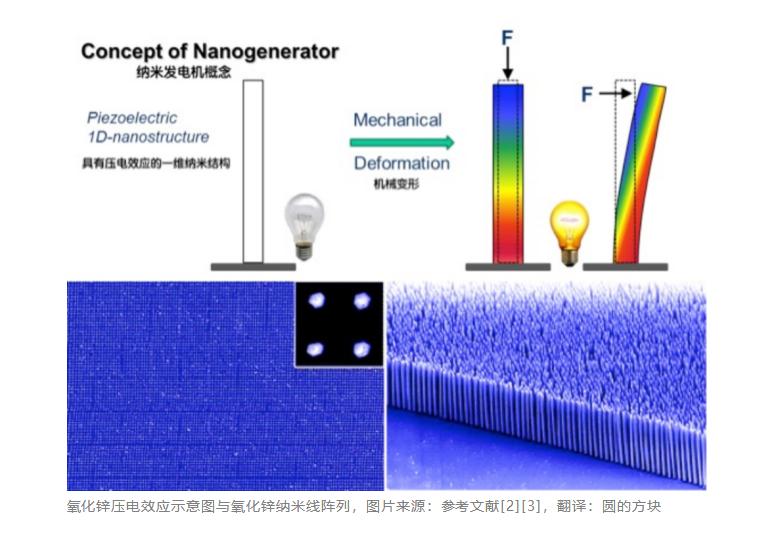 王中林获得什么奖,纳米王中林最新消息