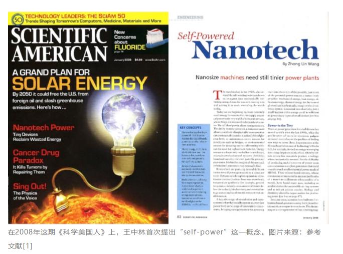 王中林获得什么奖,纳米王中林最新消息