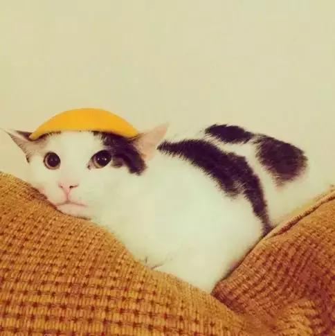 “假笑boy”的微笑，为什么看着那么假？