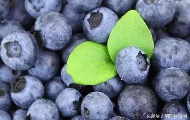 吃了发霉的东西对肾有影响吗,发霉的食物致癌