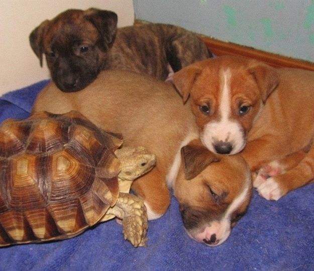 一位教授给孩子批改作业,一个老师给学生发试卷