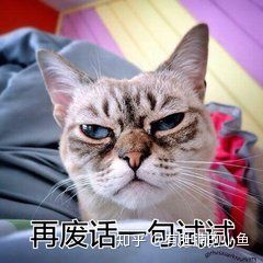 猫咪没有精神老是睡觉是怎么回事,猫咪睡觉咕咕咕的声音是怎么回事