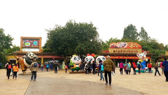 长隆广州野生动物园带娃游玩攻略,一大一小亲子游长隆野生动物园