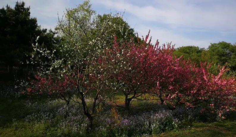 北京哪些公园对18岁以下免费,北京值得去的免费公园排名