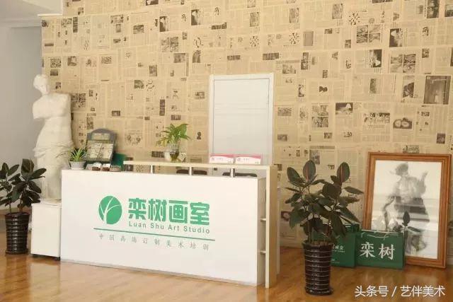 北京栾树画室基础教学,北京栾树画室坑人
