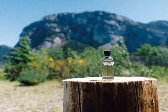 加拿大公司取得重大技术突破：汽车废气重新变“燃油”，你信吗