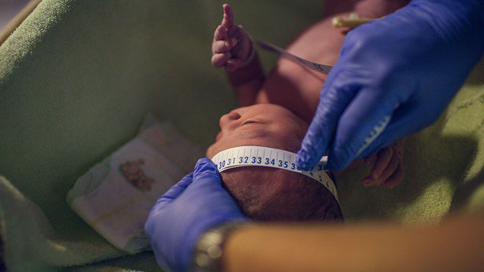 荷兰叫停“万艾可”母婴试验导致胎儿流产或新生儿死亡