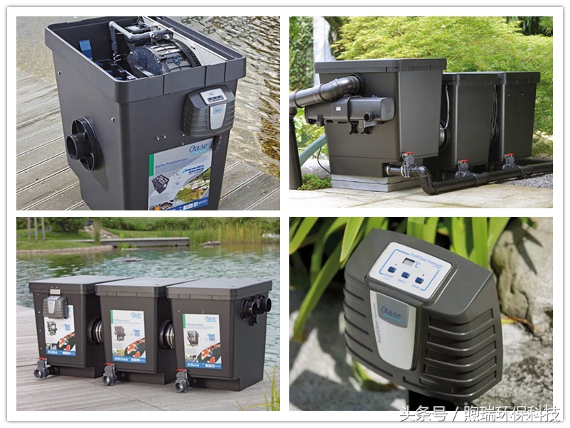 锦鲤鱼池过滤系统教程全过程,锦鲤鱼池过滤系统推荐