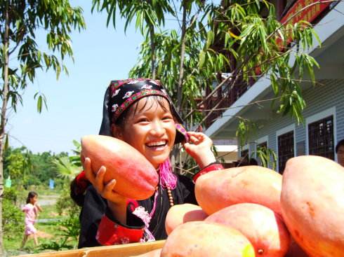 田东果农,广西百色农民致富