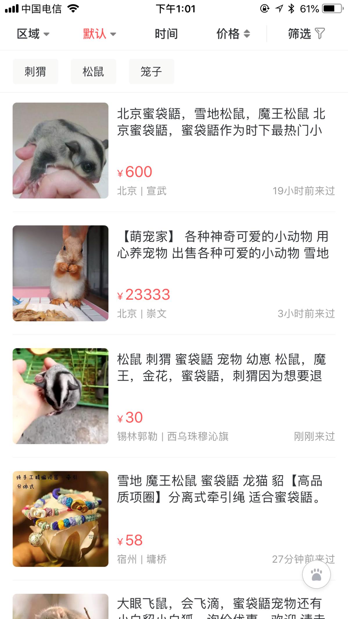 有哪些网红养蜜袋鼯,可以养的宠物蜜袋鼯