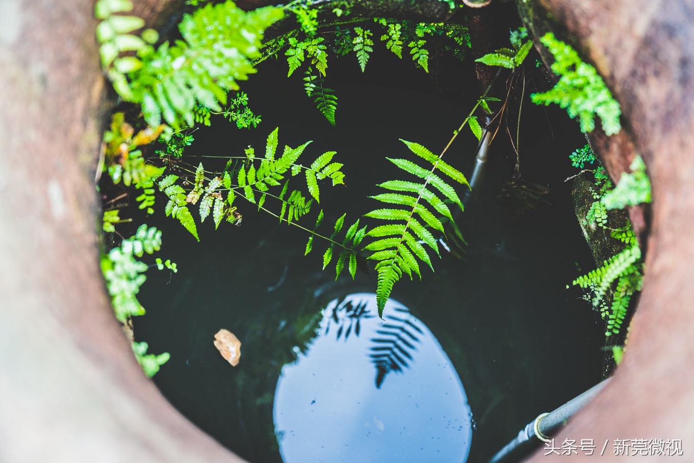 东莞一大古村,东莞具有世界工厂的称号