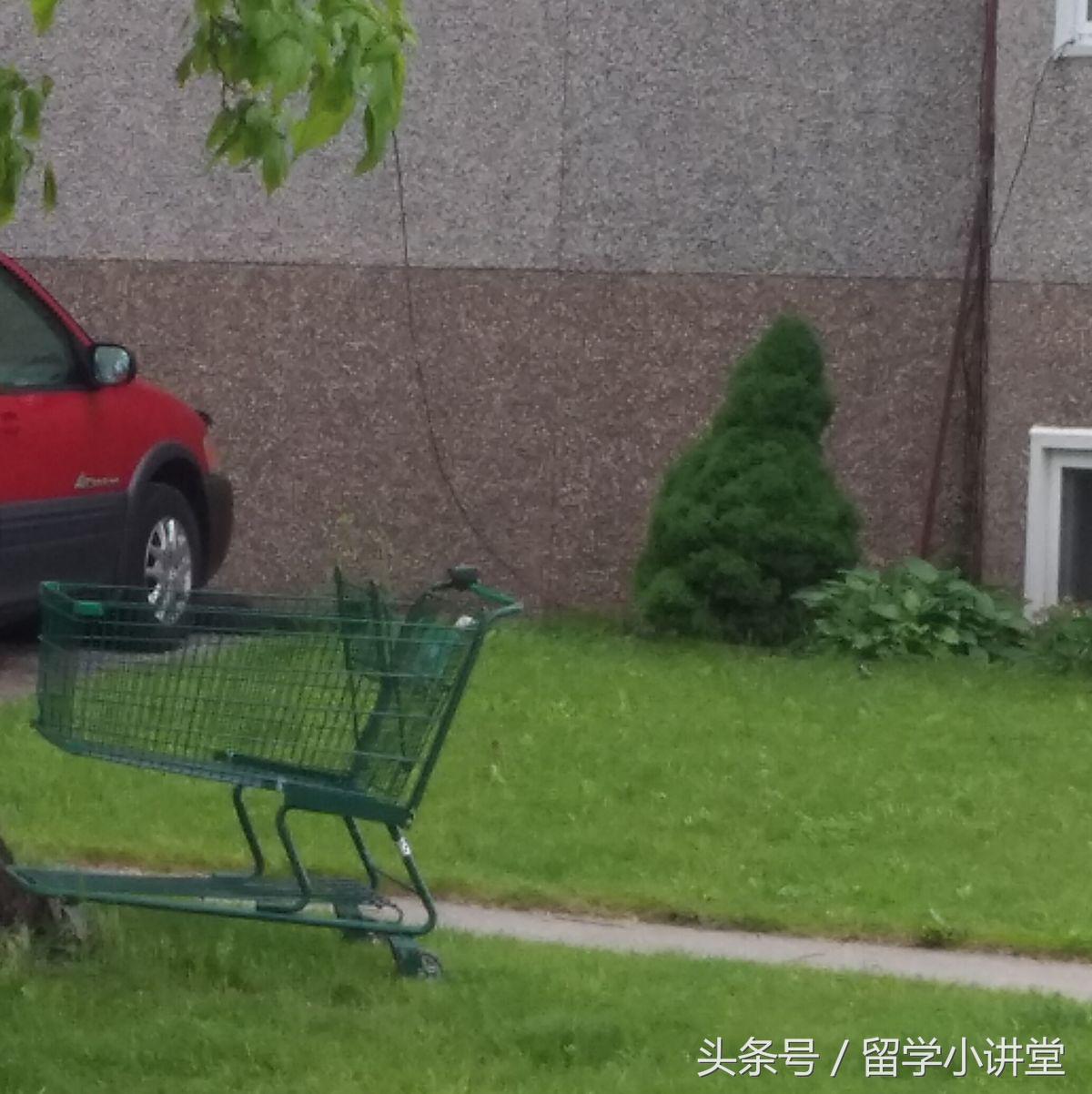 在加拿大长期生活是什么体验,在加拿大生活快乐吗