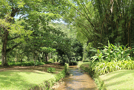 有趣的相机视频教程,佳能相机使用技巧大全