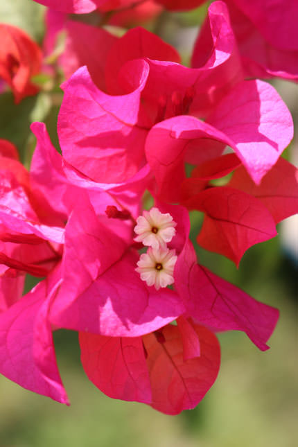 有趣的相机视频教程,佳能相机使用技巧大全