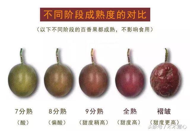 它叫爱情果,果汁味道如初恋,网友:难怪男男女女都喜欢点上一杯