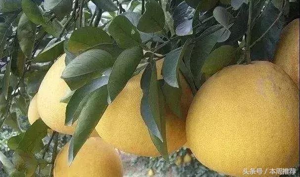 乡愁,下一站,辰溪!你要跟我一起吗?