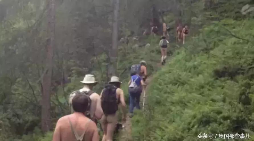 中国版的奥地利,新奥地利