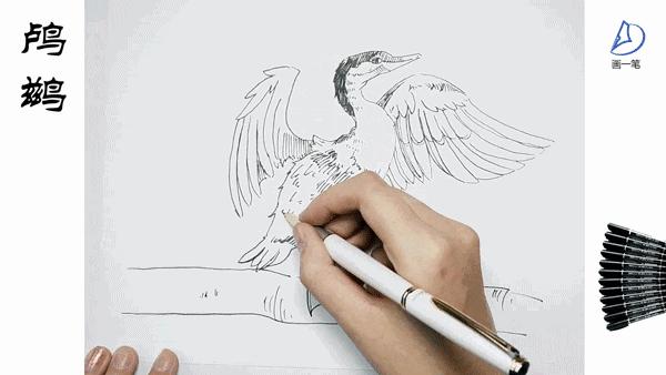 鸬鹚的国画画法,鸬鹚怎么画