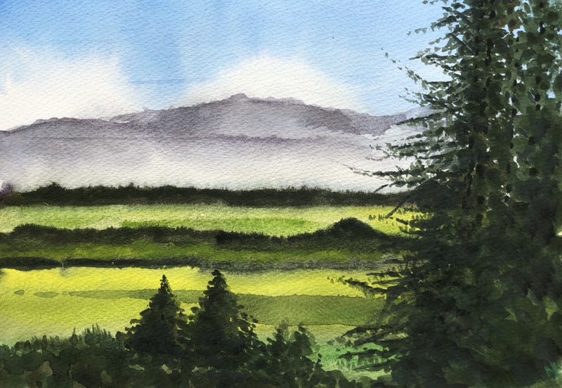 幸福画吧7月份作品,幸福原创绘画作品欣赏