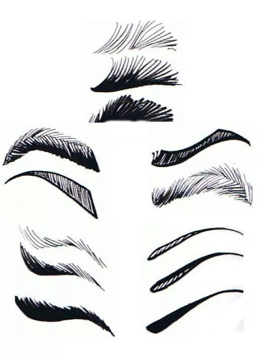 人物眉毛怎么画,画眉毛的教程简笔画