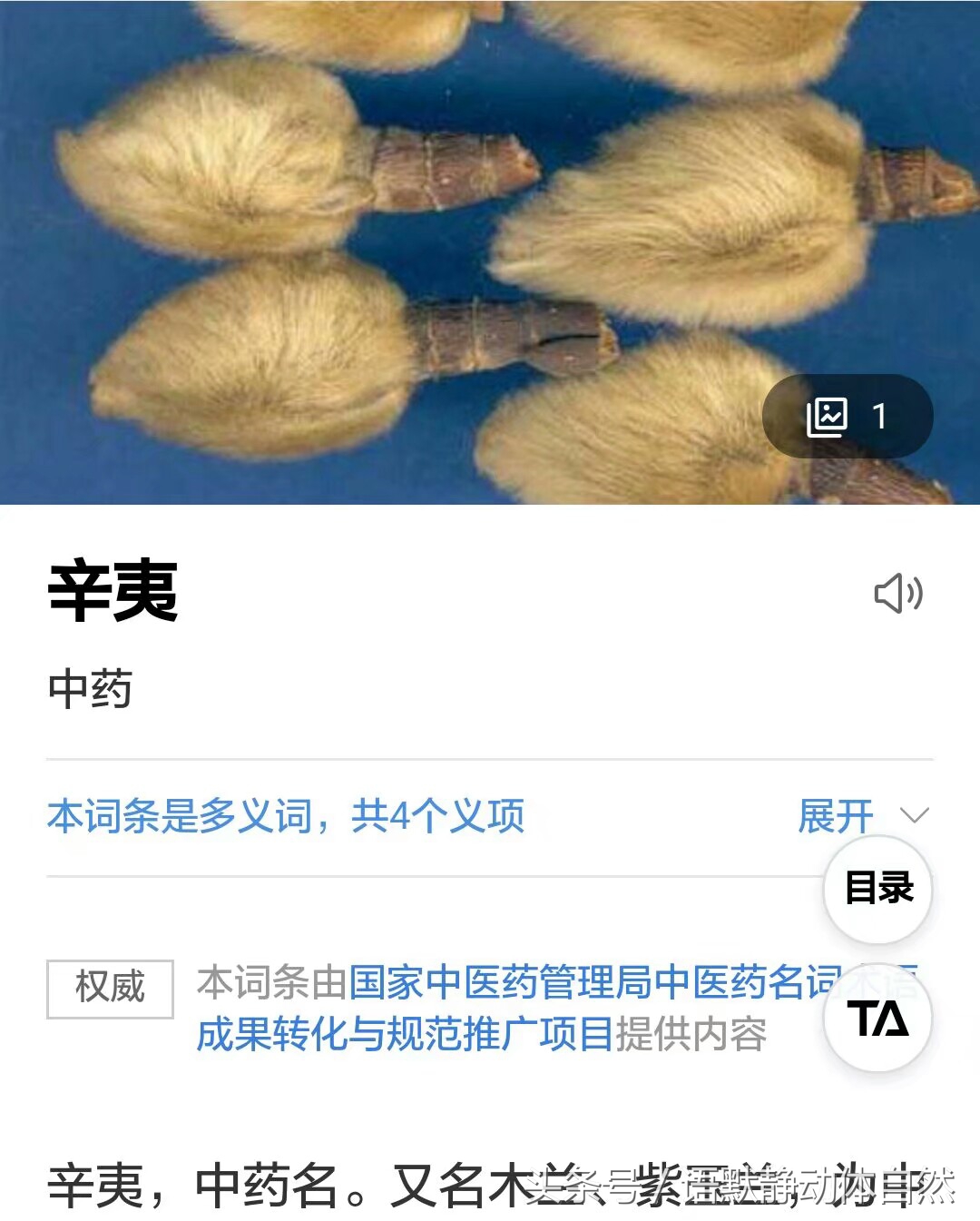 有一种叫什么药的花,有一种花叫桔梗