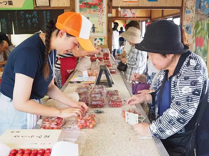 日本车牌变迁,日本2020年经典车牌