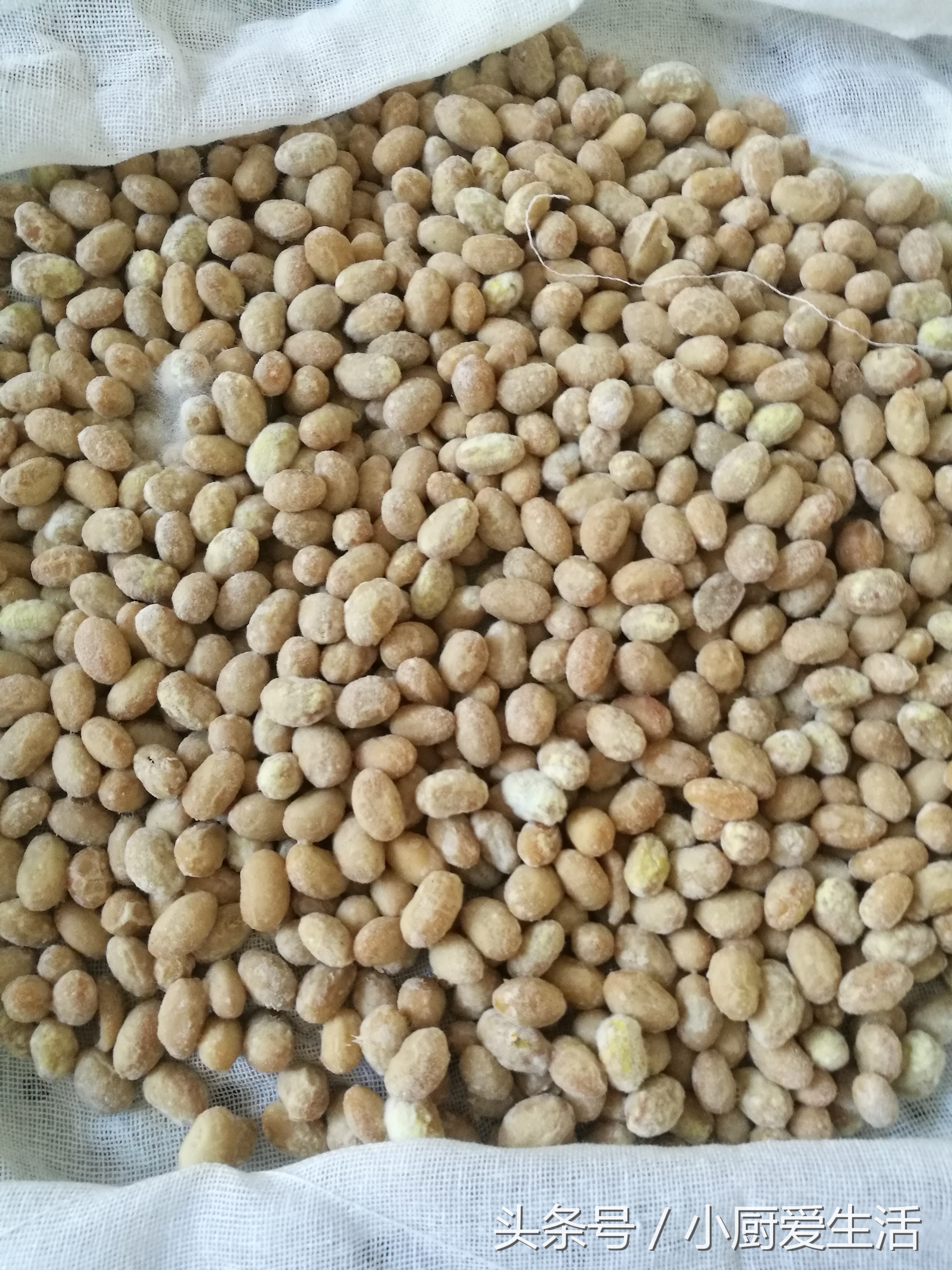 在家自己快速制作大酱,快速自制大酱的家常做法