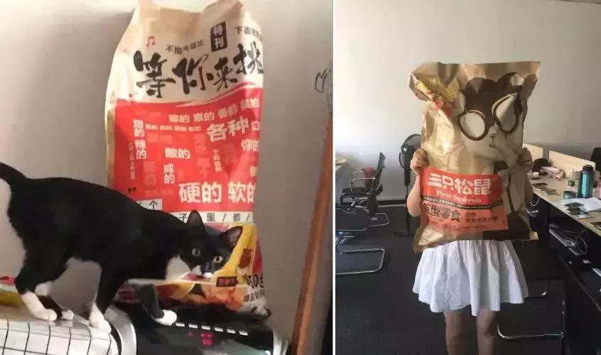 三只松鼠的2019年营销手段,三只松鼠口碑营销案例