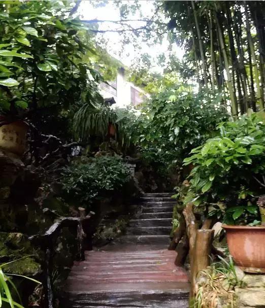 到重庆玩住哪比较方便又便宜民宿,去重庆旅游住哪里性价比最高2-3人