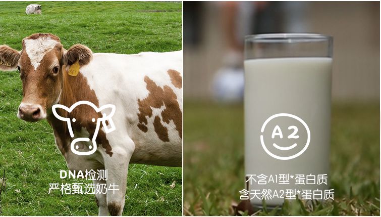 a*奶2**粉中国神话破灭？