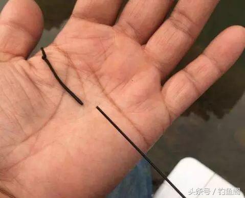 为什么鱼竿竿稍特别脆弱一掰就断,鱼竿19调28调哪个容易断竿子