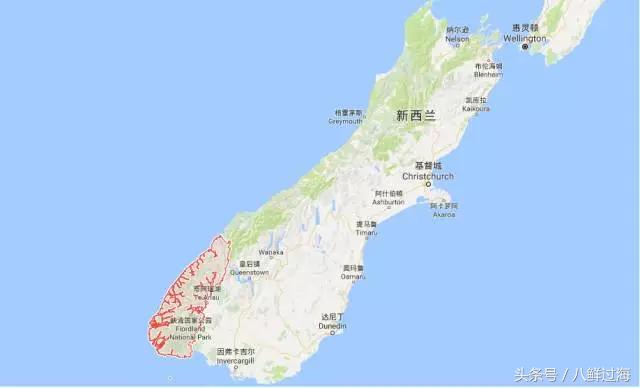 新西兰红色岩龙虾,新西兰岩龙虾介绍