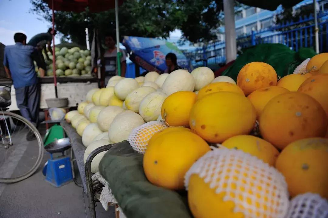 甜瓜｜伊丽莎白、金蜜、白兔、京玉、鲁厚甜1号、蜜兰、流星……