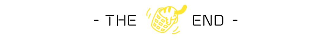 「喵百科」从胡须、耳朵、尾巴看透猫在想什么！