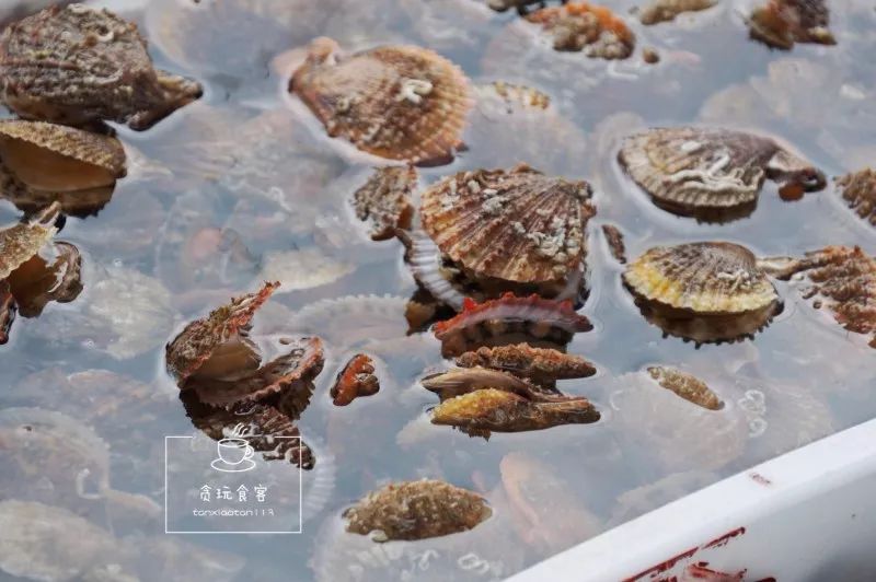 暑期去山东龙口,拍ins风网红大片,看没有游客蔚蓝大海!