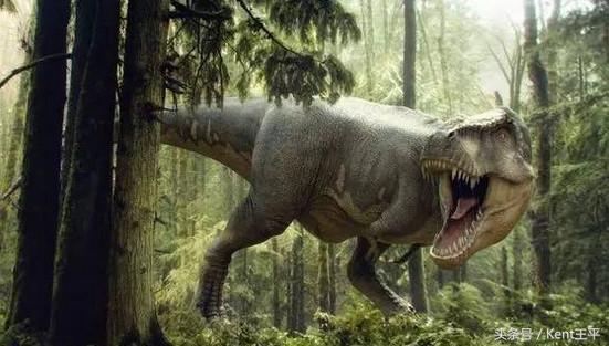 霸王龙的天敌食肉恐龙,巨型食肉牛龙对战霸王龙