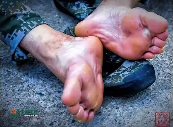 向所有中国军人军属致敬,致敬军人致敬军属