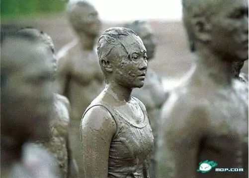 向所有中国军人军属致敬,致敬军人致敬军属