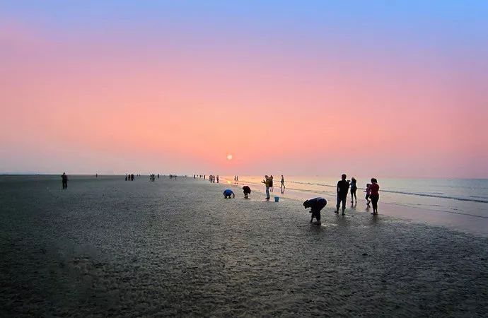 防城港美食海鲜,防城港特产海鲜干货