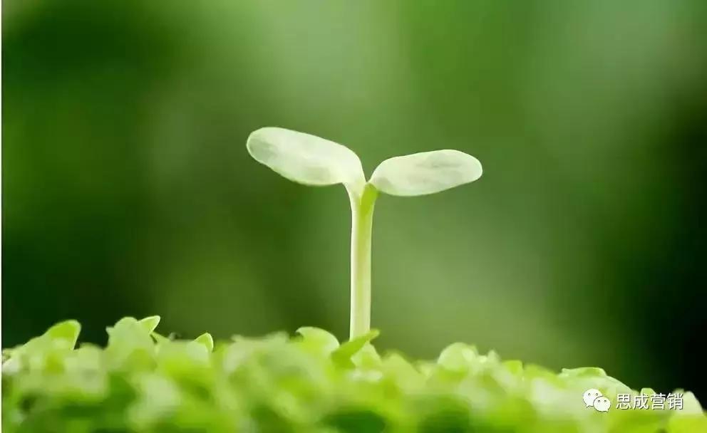 拼多多创始人与巴菲特,拼多多创始人巴菲特