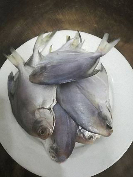 名贵鲳鱼家常做法,香酥鲳鱼最正宗的做法